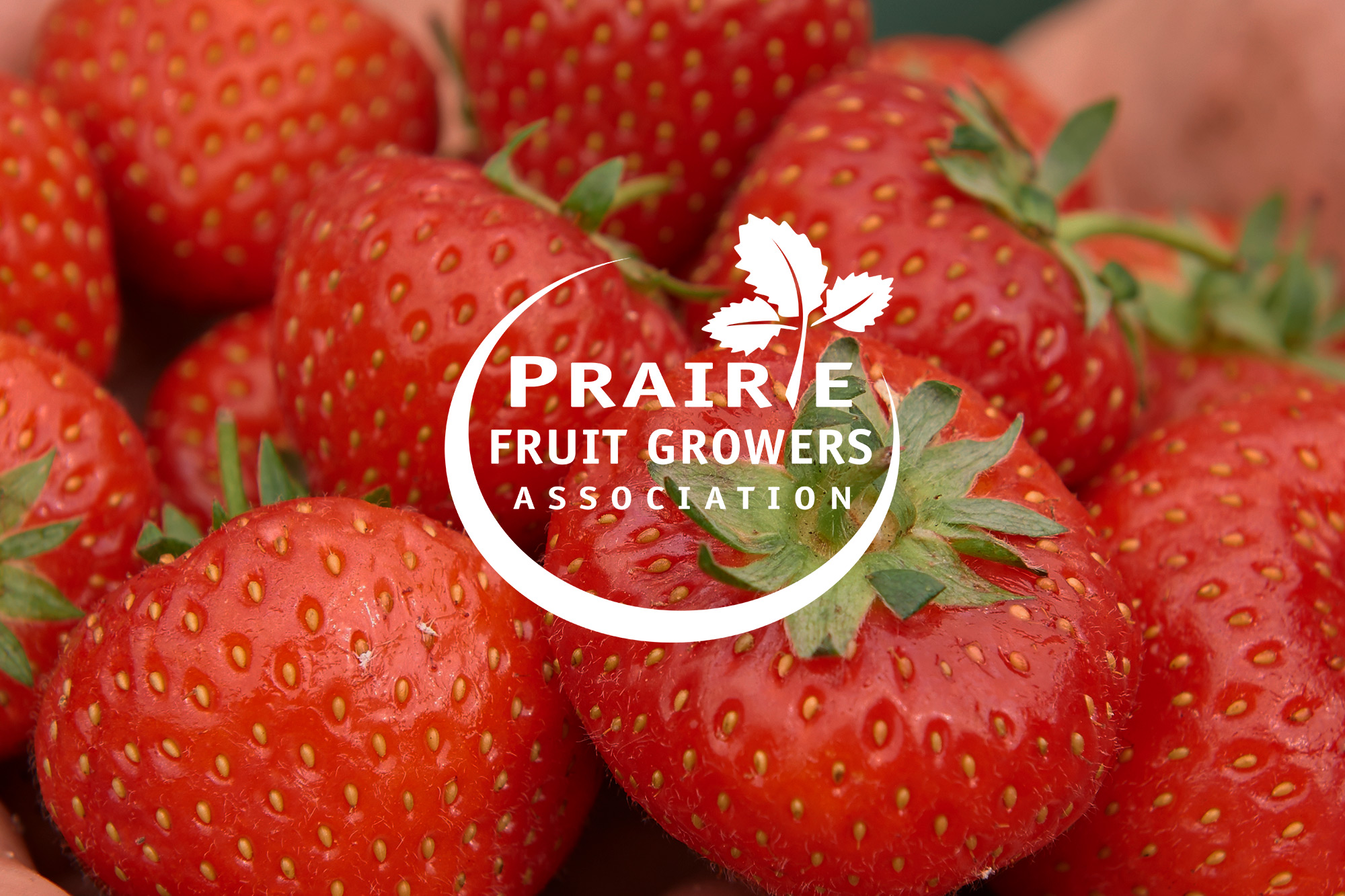 PFGA logo on a background of strawberries